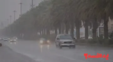 الأرصاد تُحذر من أمطار رعدية ورياح قوية بالمملكة الخميس 4 ديسمبر 2025